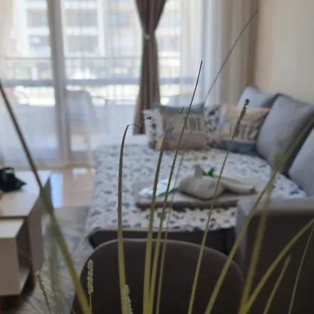 Sea Dreams Sunrise * سفيتي فلاس