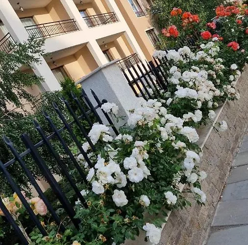 Apartman Sea Dreams Sunrise