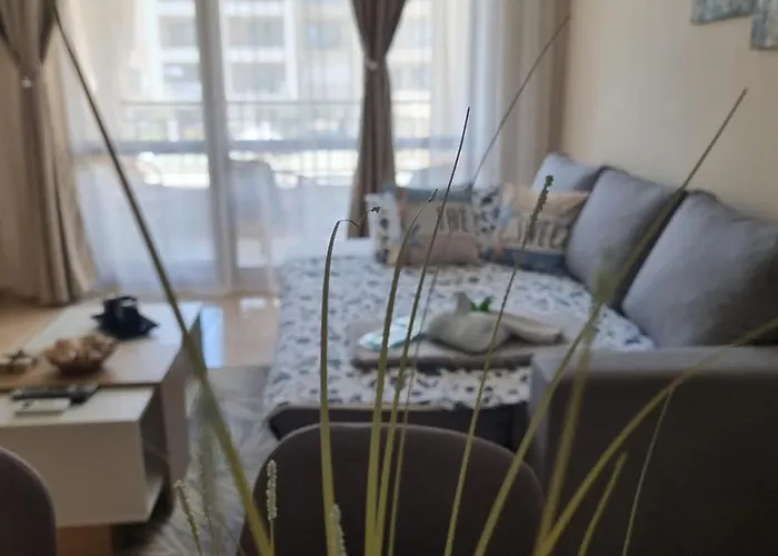 Sea Dreams Sunrise * Szveti Vlasz